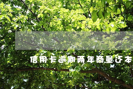 信用卡逾期两年商量还本金可以吗