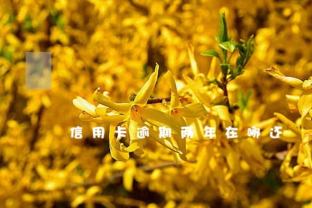 信用卡逾期两年在哪还 信用卡逾期两年在哪还