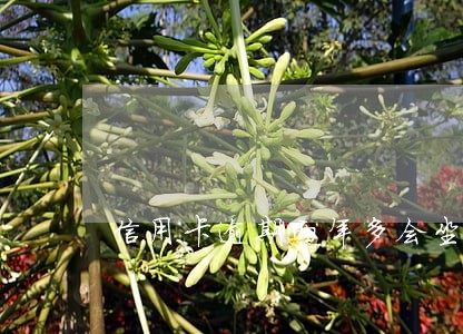 信用卡逾期两年多会坐牢吗 信用卡逾期两年多会坐牢吗