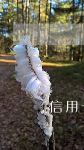 信用卡逾期两年多会怎么样 信用卡逾期两年多会怎么样