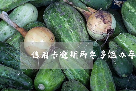 信用卡逾期两年多能办车贷吗 信用卡逾期两年多能办车贷吗