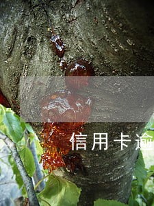 信用卡逾期两年如何消除征信