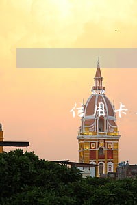 信用卡逾期两年怎么查卡号 信用卡逾期两年怎么查卡号