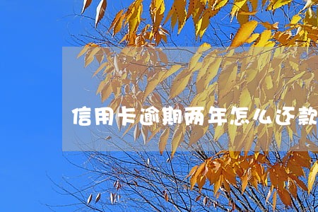 信用卡逾期两年怎么还款 信用卡逾期两年怎么还款