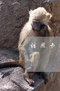信用卡逾期两年是失信人员吗