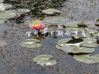 信用卡逾期两年有什么影响