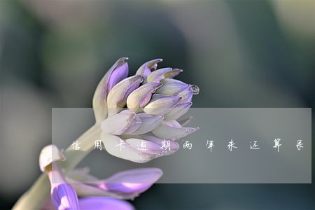 信用卡逾期两年未还算呆账吗 信用卡逾期两年未还算呆账吗