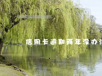信用卡逾期两年没办法还 信用卡逾期两年没办法还