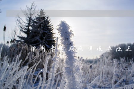 信用卡逾期两年没办法还是想念 信用卡逾期两年没办法还是想念