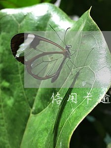 信用卡逾期两年没有停息 信用卡逾期两年没有停息