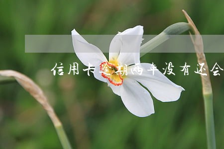 信用卡逾期两年没有还会怎么样 信用卡逾期两年没有还会怎么样