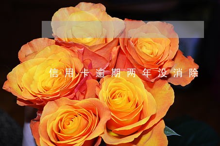 信用卡逾期两年没消除