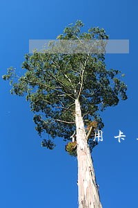 信用卡逾期两年没还了 信用卡逾期两年没还了