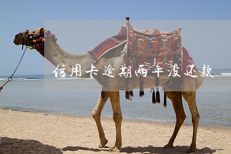 信用卡逾期两年没还款 信用卡逾期两年没还款