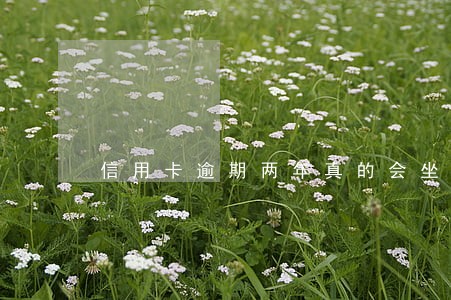 信用卡逾期两年真的会坐牢吗 信用卡逾期两年真的会坐牢吗