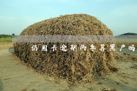 信用卡逾期两年算黑户吗