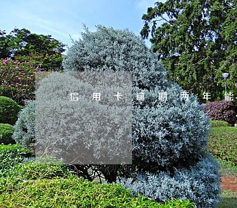 信用卡逾期两年能不能协商 信用卡逾期两年能不能协商