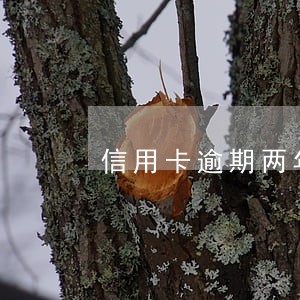 信用卡逾期两年被注销吗 信用卡逾期两年被注销吗