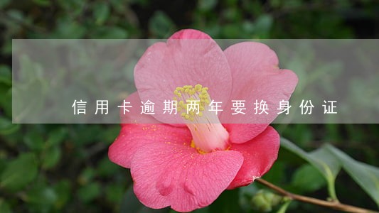 信用卡逾期两年要换身份证