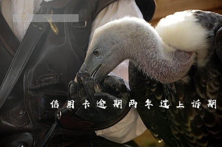 信用卡逾期两年过上诉期了吗 信用卡逾期两年过上诉期了吗