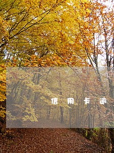 信用卡逾期两年还上上发 信用卡逾期两年还上上发