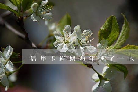信用卡逾期两年还了一大半