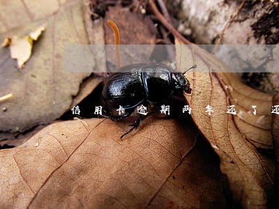 信用卡逾期两年还了还要坐牢吗 信用卡逾期两年还了还要坐牢吗
