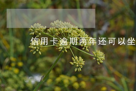 信用卡逾期两年还可以坐火车吗 信用卡逾期两年还可以坐火车吗