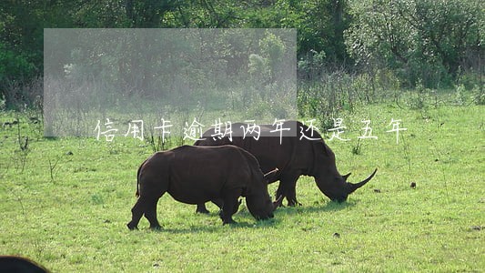 信用卡逾期两年还是五年 信用卡逾期两年还是五年
