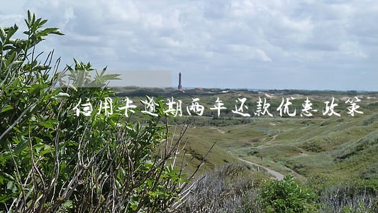 信用卡逾期两年还款优惠政策 信用卡逾期两年还款优惠政策