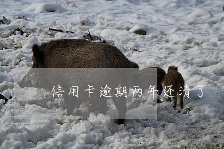 信用卡逾期两年还清了 信用卡逾期两年还清了