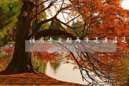 信用卡逾期两年还清后还能使用么 信用卡逾期两年还清后还能使用么