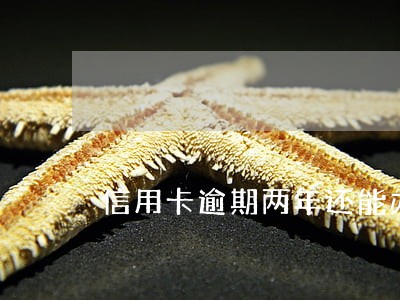 信用卡逾期两年还能办嘛 信用卡逾期两年还能办嘛