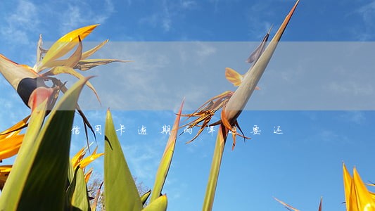 信用卡逾期两年还要还 信用卡逾期两年还要还