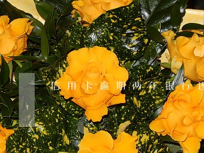 信用卡逾期两年银行还在催收