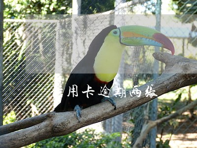 信用卡逾期两张
