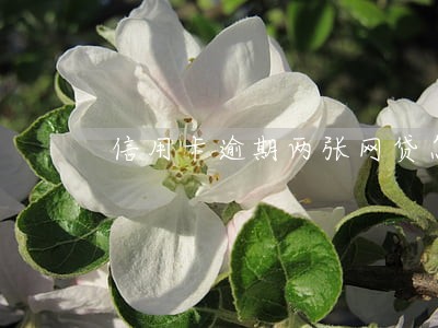信用卡逾期两张网贷怎么办 信用卡逾期两张网贷怎么办