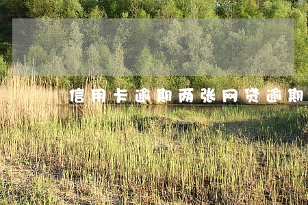 信用卡逾期两张网贷逾期三个 信用卡逾期两张网贷逾期三个
