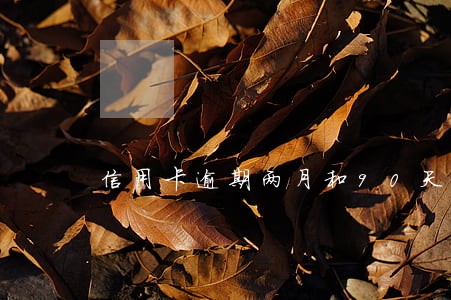 信用卡逾期两月和90天以上区别