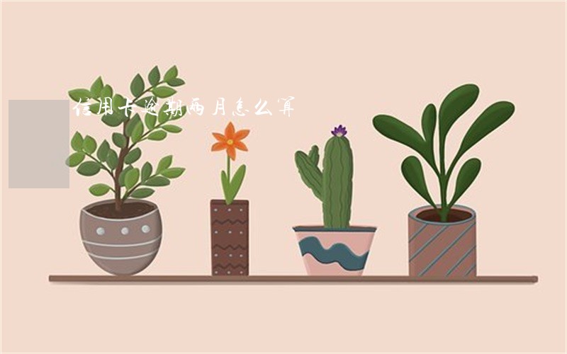 信用卡逾期两月怎么算 信用卡逾期两月怎么算