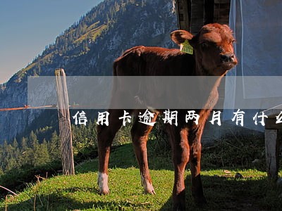 信用卡逾期两月有什么后果 信用卡逾期两月有什么后果