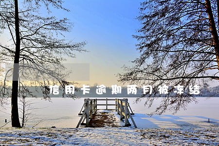 信用卡逾期两月被冻结 信用卡逾期两月被冻结