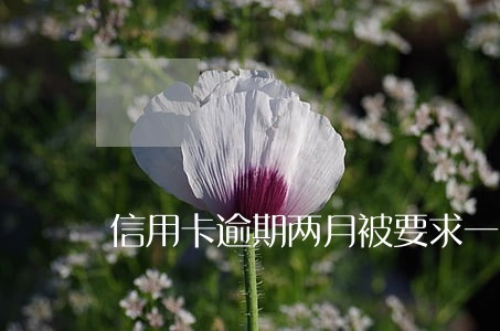 信用卡逾期两月被要求一次性还清 信用卡逾期两月被要求一次性还清
