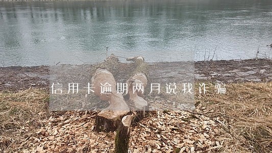 信用卡逾期两月说我诈骗 信用卡逾期两月说我诈骗