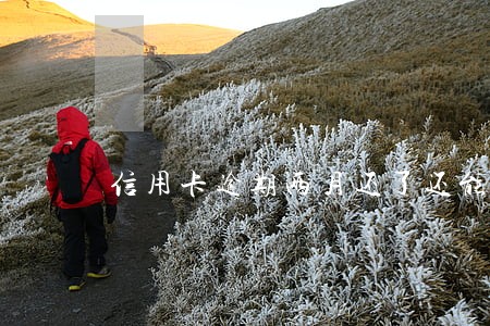 信用卡逾期两月还了还能用吗