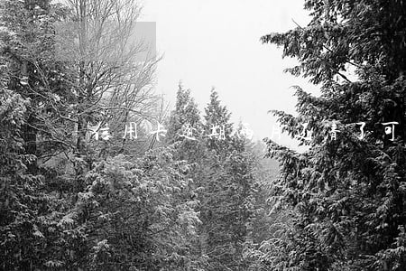 信用卡逾期两月还清了可以协商吗 信用卡逾期两月还清了可以协商吗
