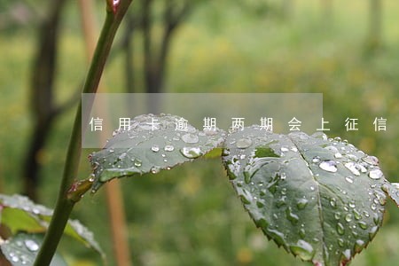 信用卡逾期两期会上征信吗 信用卡逾期两期会上征信吗