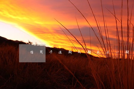 信用卡逾期两期先还一期 信用卡逾期两期先还一期