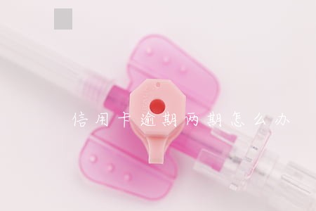 信用卡逾期两期怎么办 信用卡逾期两期怎么办