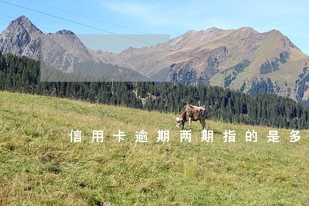 信用卡逾期两期指的是多久 信用卡逾期两期指的是多久